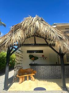 las terrenas