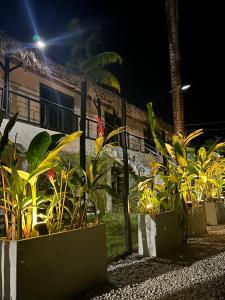 las terrenas