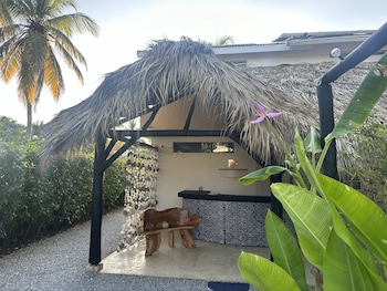 las terrenas