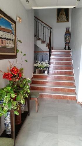 hotel restaurante los molinos