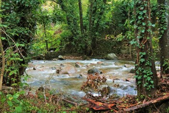 garganta la olla