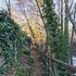garganta la olla