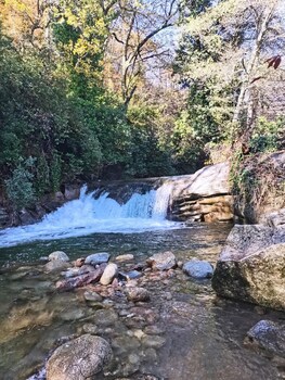 garganta la olla