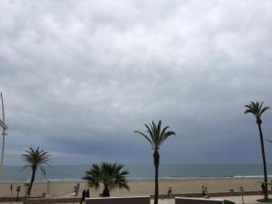 just style el manico