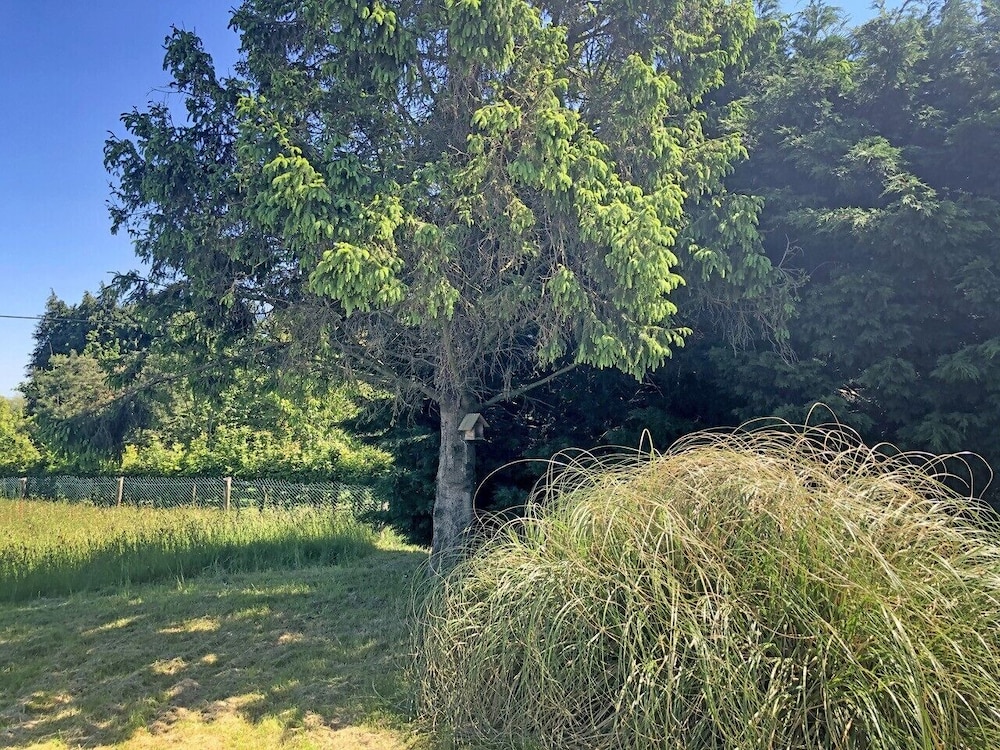 romagny fontenay