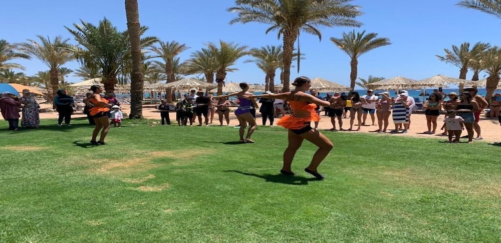 sharm dreams vacation club aqua park