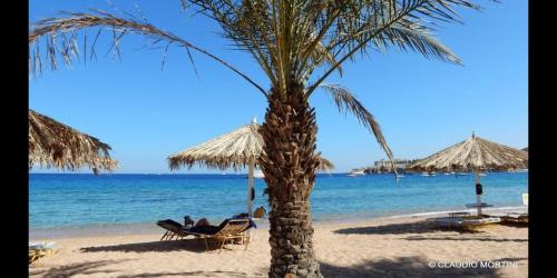 sharm el sheikh