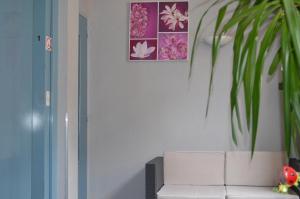 cherbourg en cotentin