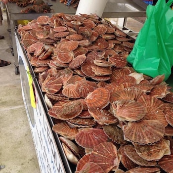 auberge du vieux puits