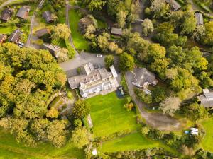 plas dolguog