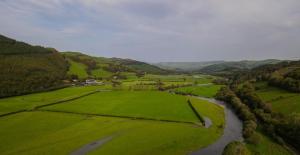 plas dolguog
