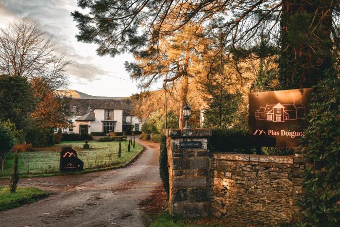 plas dolguog