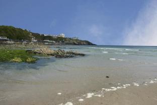 douglas