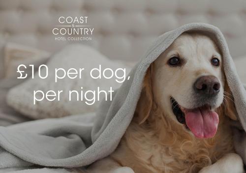 the windermere hotel