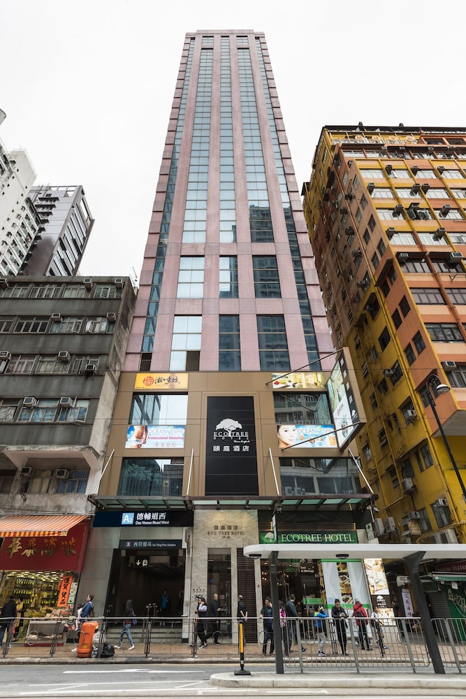 eco tree hotel sheung wan