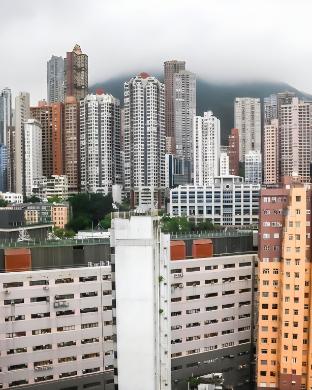eco tree hotel sheung wan