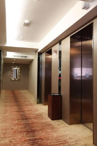 eco tree hotel sheung wan