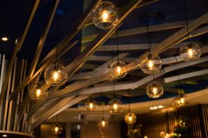 eco tree hotel sheung wan