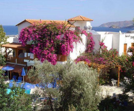 zoe boutique hotel