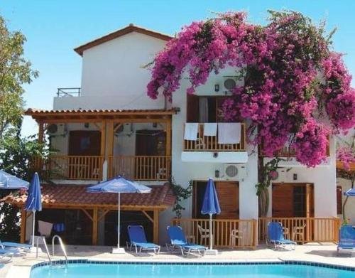zoe boutique hotel