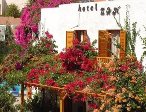 zoe boutique hotel