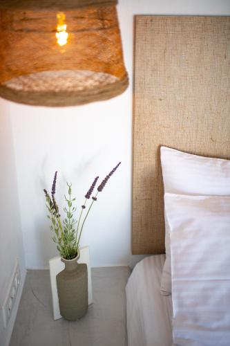 blu rooms