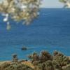 selana suites