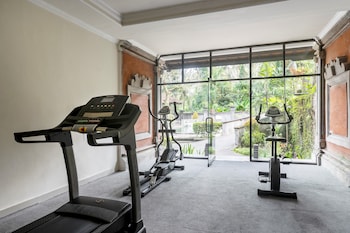 the artini dijiwa ubud