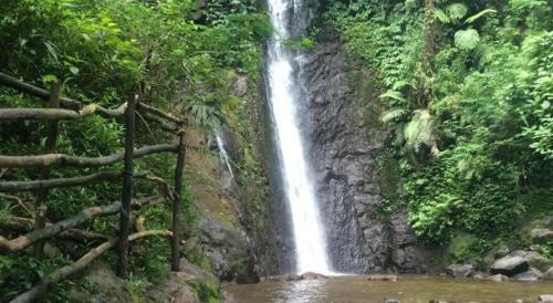 Arimbi Cibulan Suites,Cisarua>>Bogor,1 star