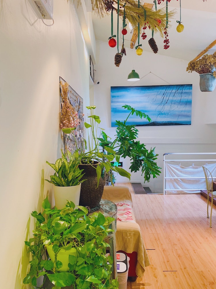 peking international youth hostel