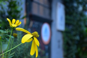 peking international youth hostel