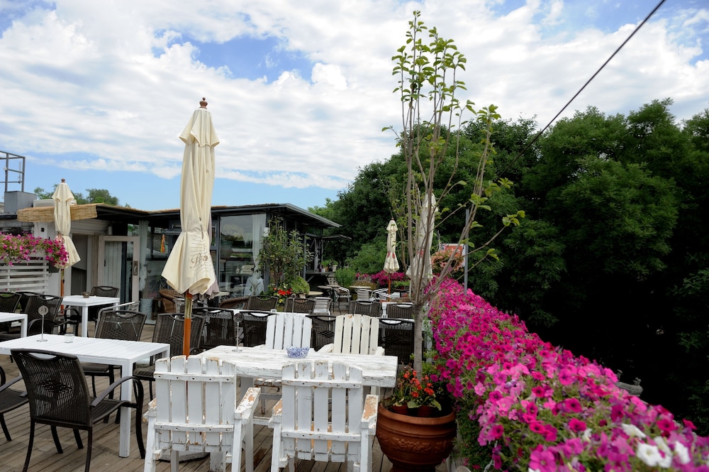 peking international youth hostel