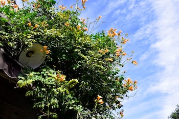 Peking International Youth Hostel,Dongcheng>>Beijing,2 star