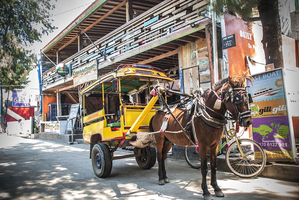 natya hotel gili trawangan