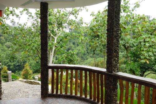 bukit lawang