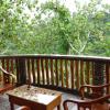 bukit lawang
