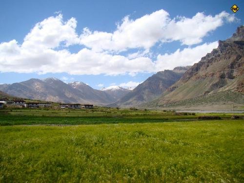 kaza
