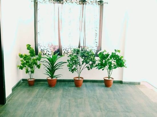 vapi
