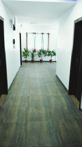 vapi