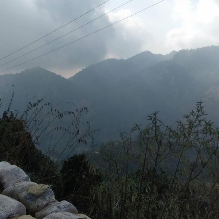 shimla