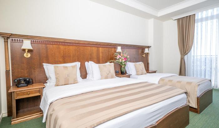 jet fox by aero view hotel delhi airport