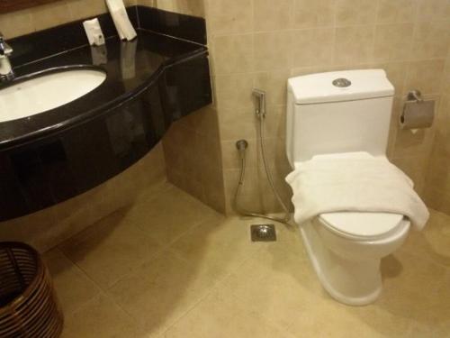 jet fox by aero view hotel delhi airport