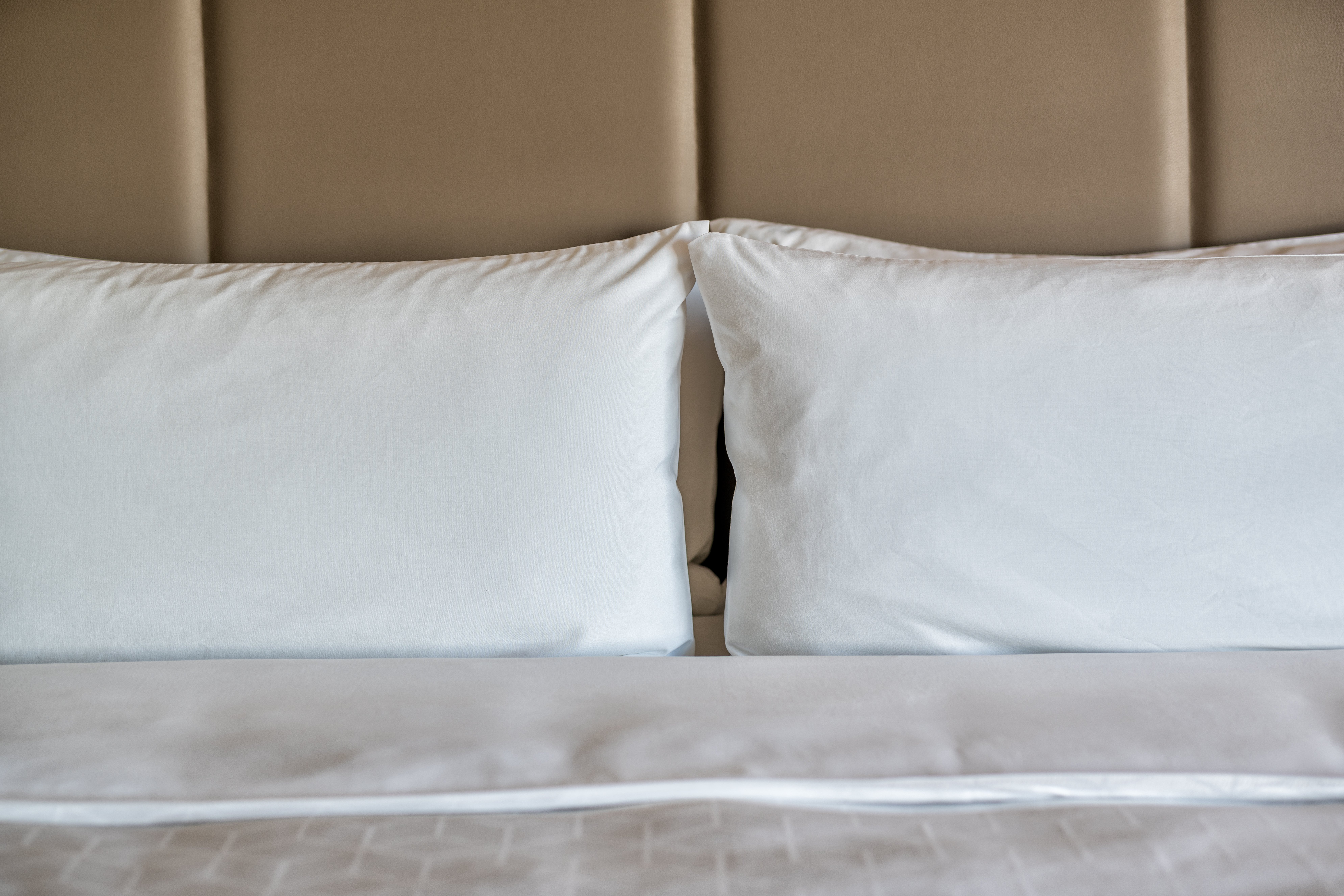 holiday inn express and suites brandon by ihg