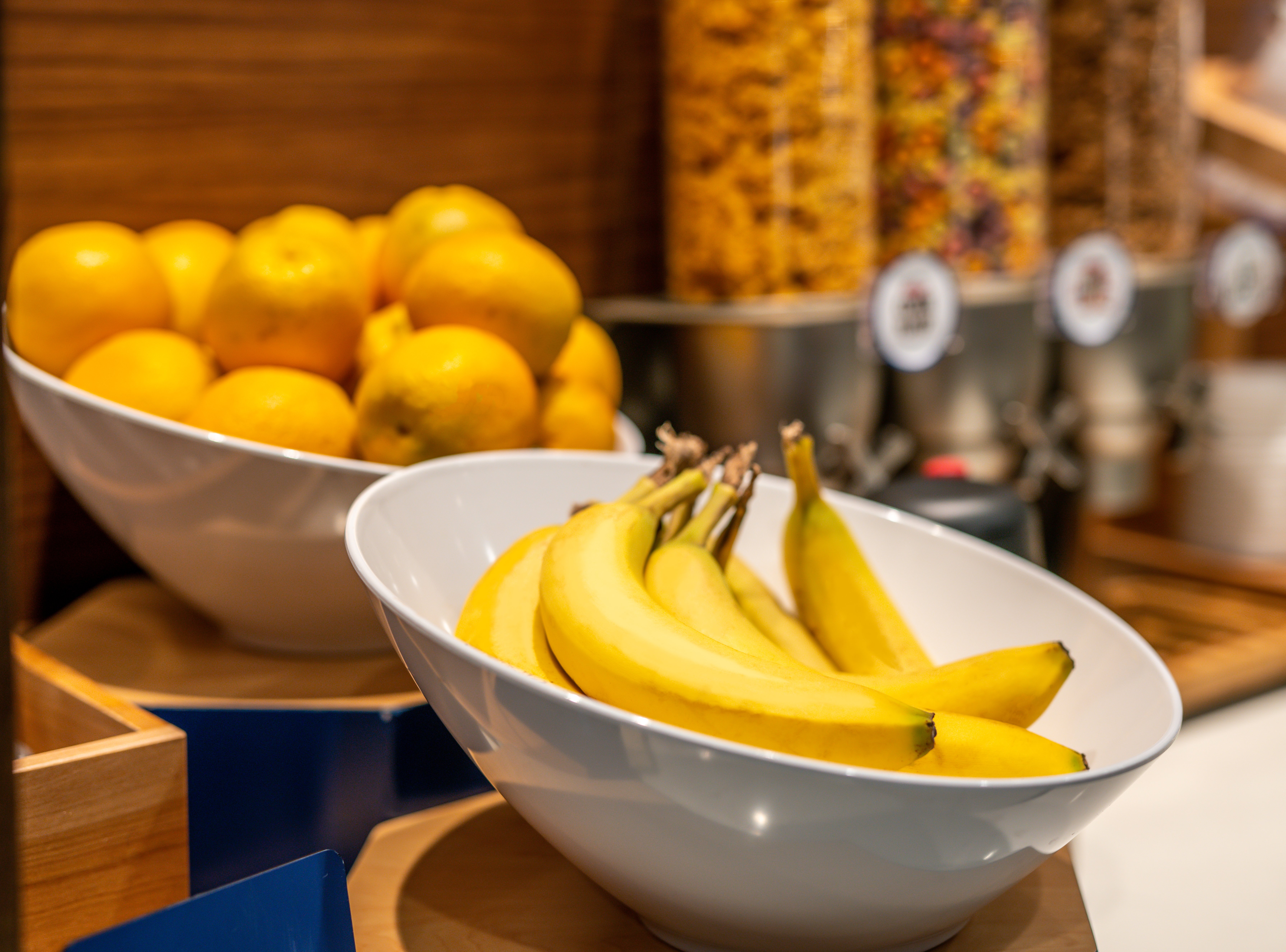 holiday inn express and suites brandon by ihg