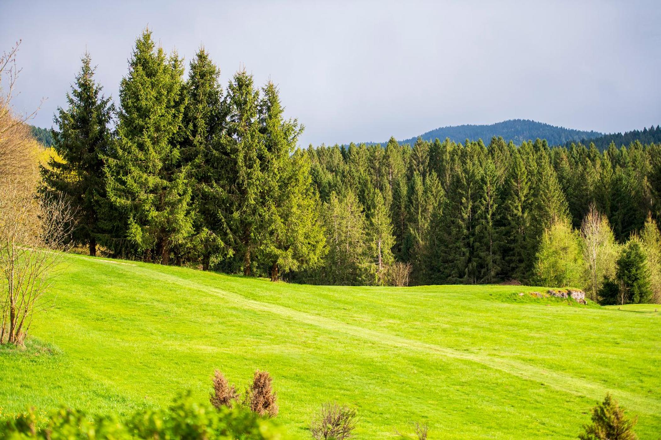 Villa Bonomo Charme Hotel,Bassano Del Grappa>>Asiago,3 star