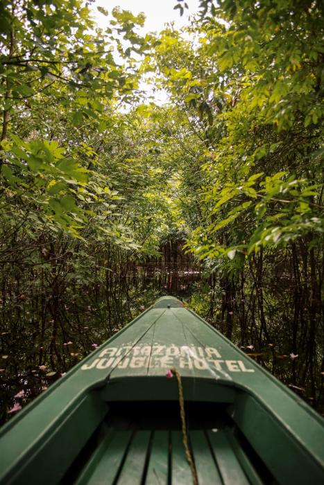 amazonia jungle hotel