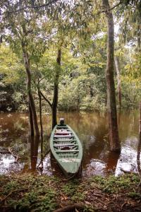 amazonia jungle hotel