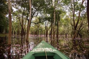 amazonia jungle hotel