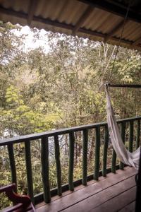 amazonia jungle hotel