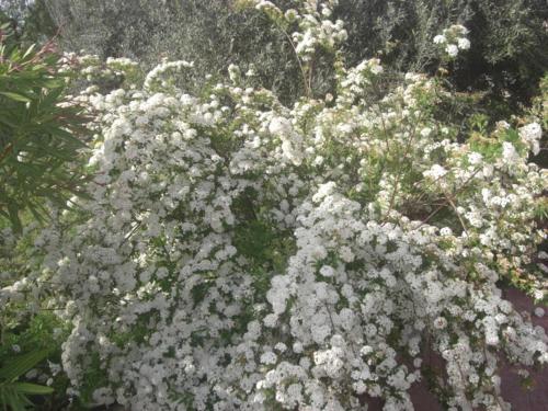 albergo villa nobile